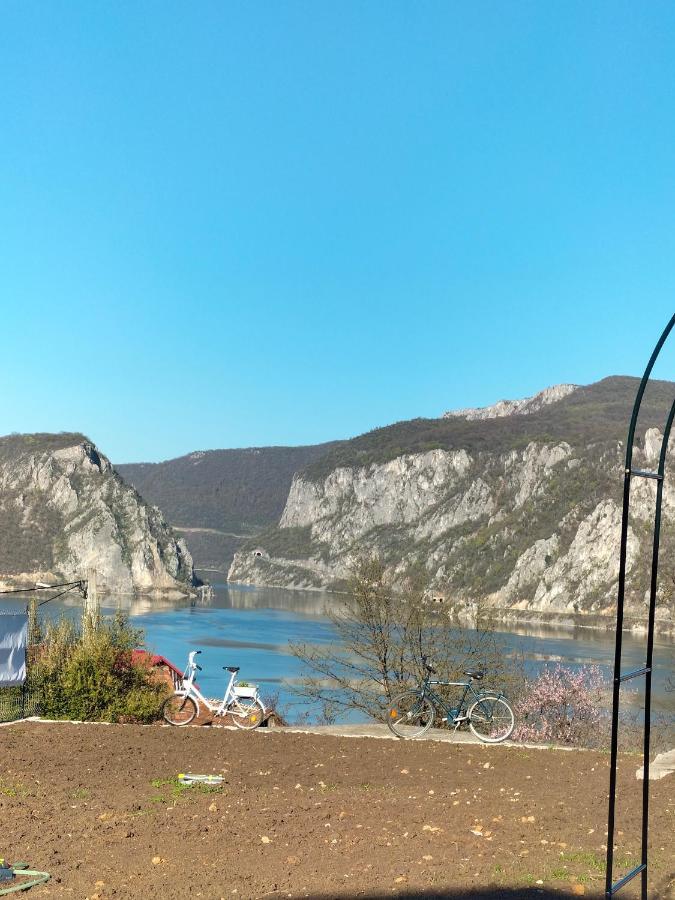 Casa De Vacanta Maga Dubova Bagian luar foto