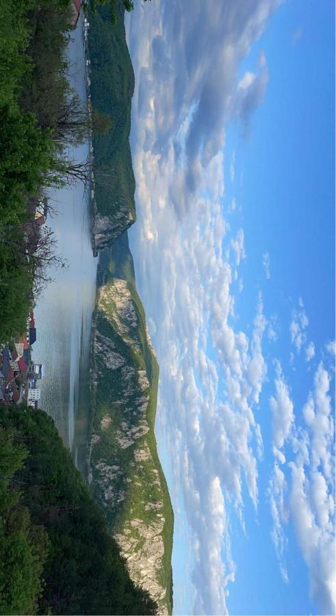 Casa De Vacanta Maga Dubova Bagian luar foto